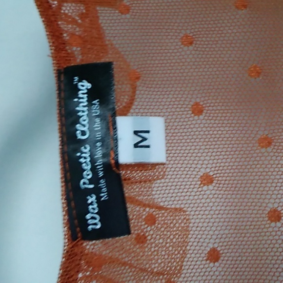 Wax Poetic Isabell Dot Mesh Dress SOLD OUT - Picture 9 of 10